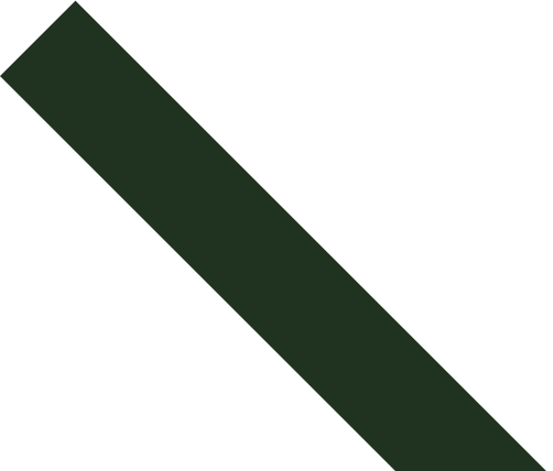 shape003.png